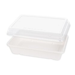 BIO Schale Classico rechteckig aus Zuckerrohr Weiss 1200 ml 40 Stück Mit Deckel