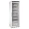 Display Gefrierschrank 365 L Polar Serie C