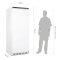 Gefrierschrank 600 L Polar Weiß