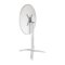Tisch Edelstahl oder Eschenholz 1 Bein 60 cm rund klappbar Bolero